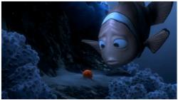 Finding Nemo Frame