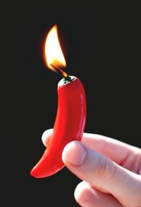 chili pepper