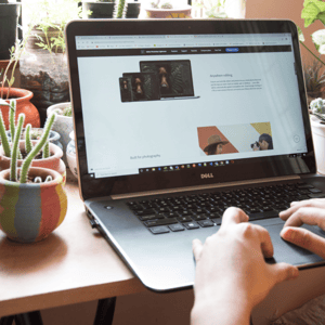 person using laptop trackpad on desk with plants