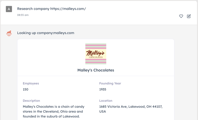 screenshot of HubSpot's ChatSpot asking for research on Malleys.com