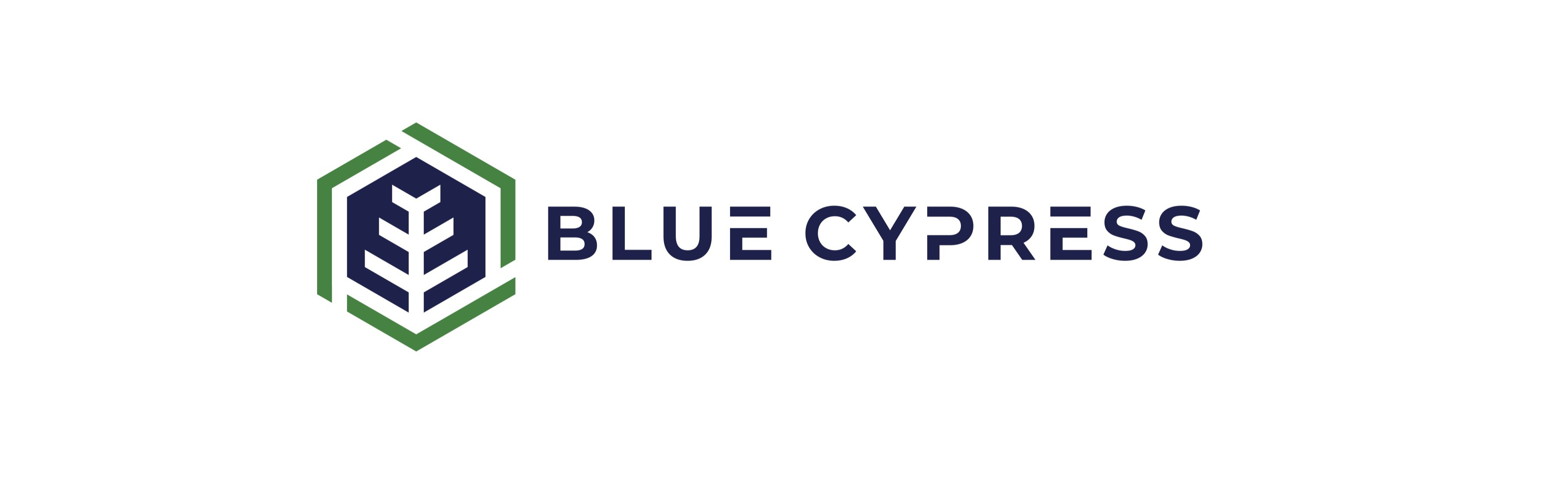blue cypress banner-1